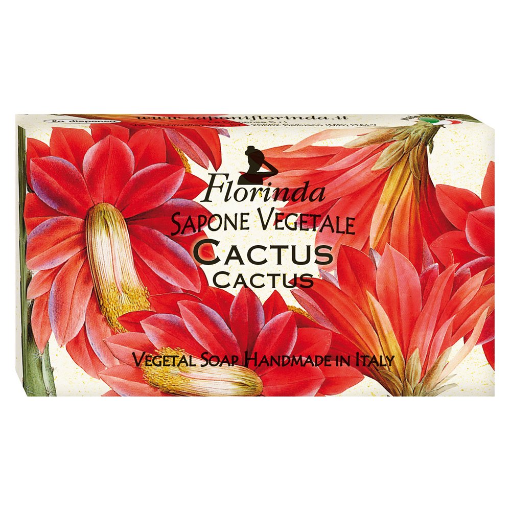 Cact-I + Cact-U = Cact-Us | Cactus Palm Pals X Florinda Bundle